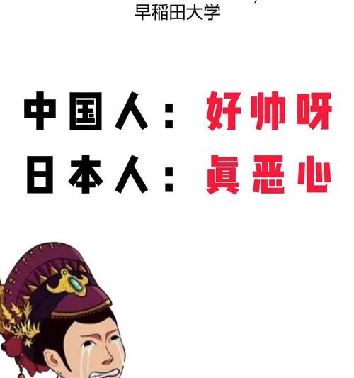 中国人对日本人的厌恶原因——历史仇恨与民族尊严（中国人对日本人恨意的深层次来源及其影响）