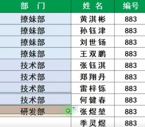 快速填充公式的技巧与方法（提高效率）