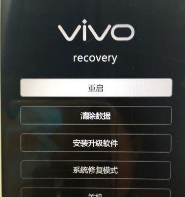 如何恢复忘记的vivo账户密码（简单有效的解决方法）