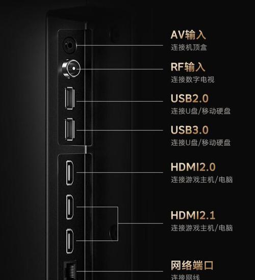 电脑上的重要文件丢失了怎么办（掌握数据恢复技巧）