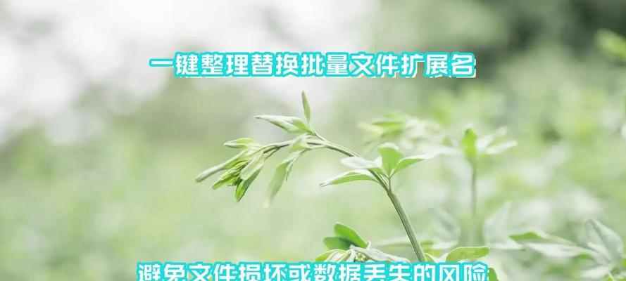 列举文件扩展名及意义？如何理解不同文件扩展名的含义？