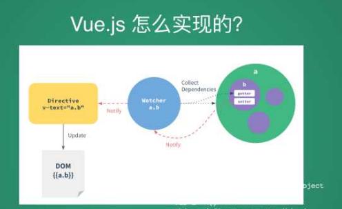 如何在Vue项目中集成视频播放组件？常见问题有哪些？