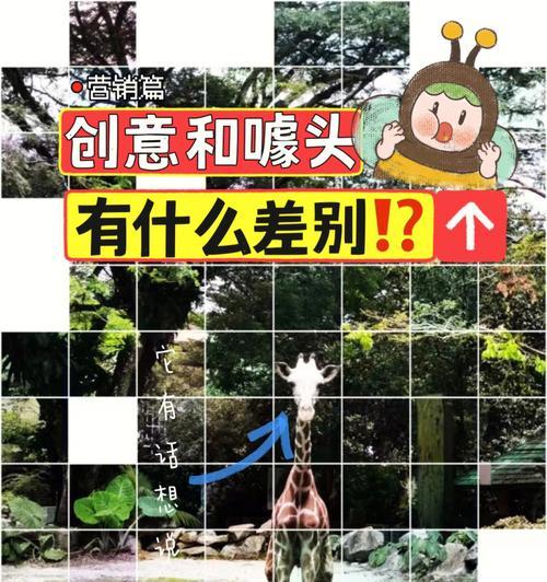 好朋友没来拍照拿手机怎么办？替代方案和创意点子？